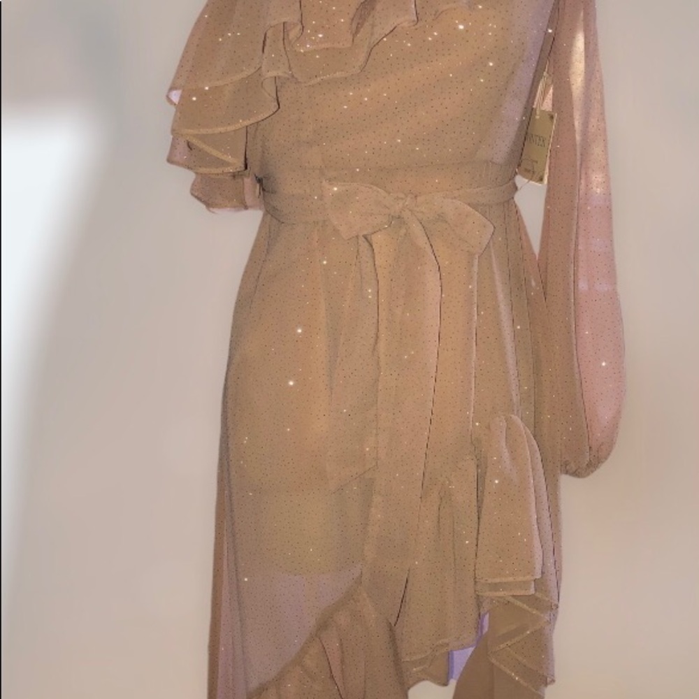 Forever 21 dress size small